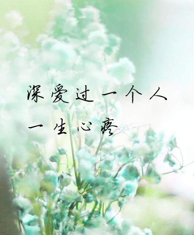 深爱过一个人一生心疼