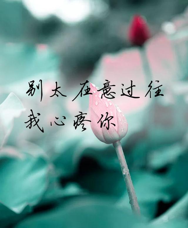 是每一对有缘相见的恋人,都有相守一生的缘分,这一场唯美爱恋情深缘浅