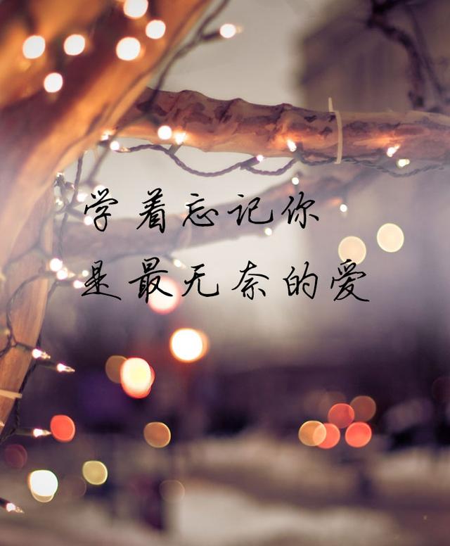学着忘记你,是最无奈的爱