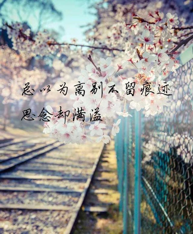 学着忘记你,是最无奈的爱