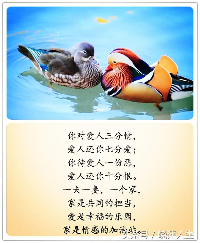夫妻之间彼此善待,才能携手到老.夫妻之间,是情份,是缘份,更是福份.