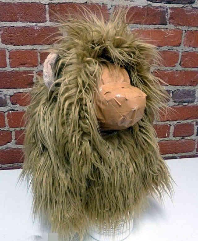 主人怕金毛在外面被欺负,给它做了一个假发,瞬间变狮子