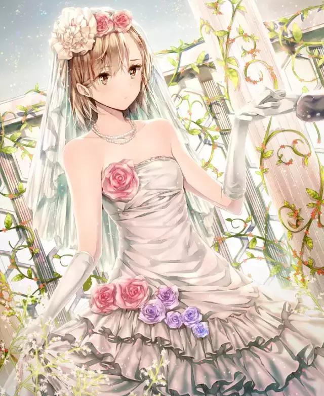 亚丝娜sao系统下拥有排名前五名美貌的美女玩家,实力之强可以担任最强