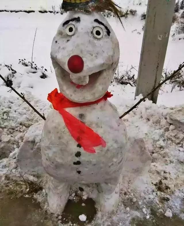 一下雪, 南方人就……|南方人|雪人|下雪_新浪新闻