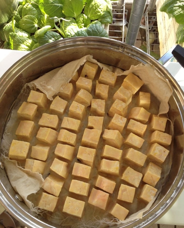 都说发霉的东西不能吃为什么农村人却说它发霉越多越好吃