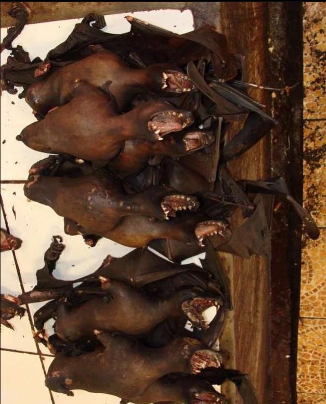 印度嘲讽中国人吃鸡爪,反被中国网友们扒出印度"特色菜单"|印度|鸡爪|