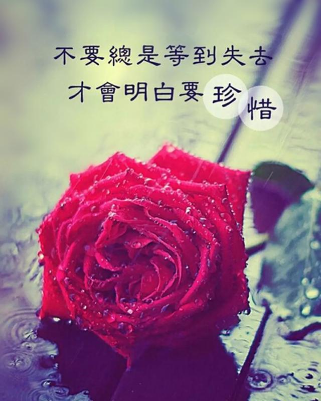 再好的感情也经不起敷衍
