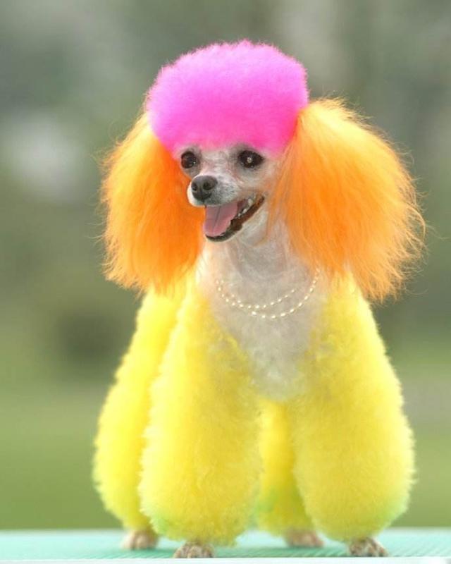 贵妇人这些是不是都是美少妇的