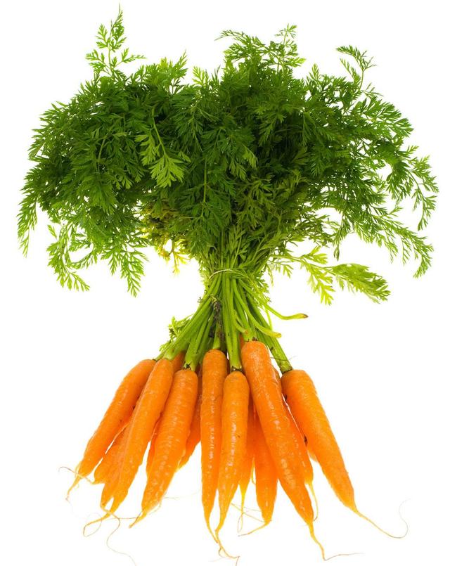 农村常见作物——胡萝卜|阿富汗|胡萝卜|作物_新浪新闻