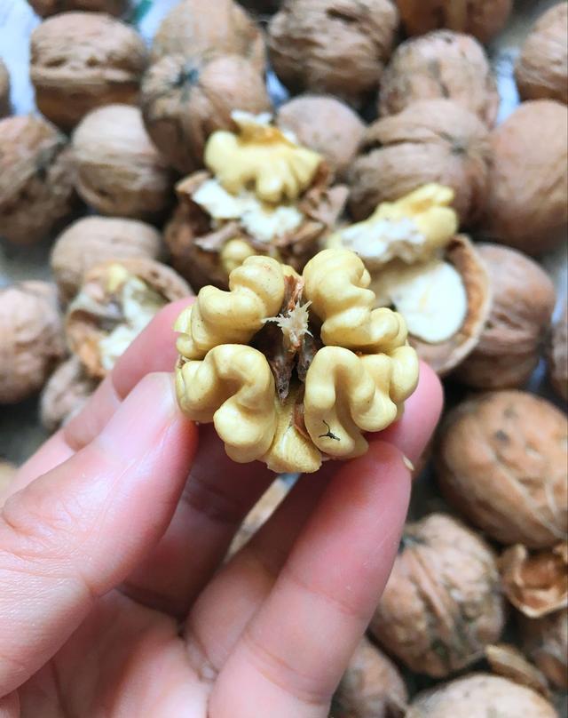 白露时节吃一口新鲜上市的核桃最养生