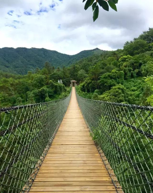 正文        为充分发挥望天湖公司丰富的中医药养生及旅游资源,开创