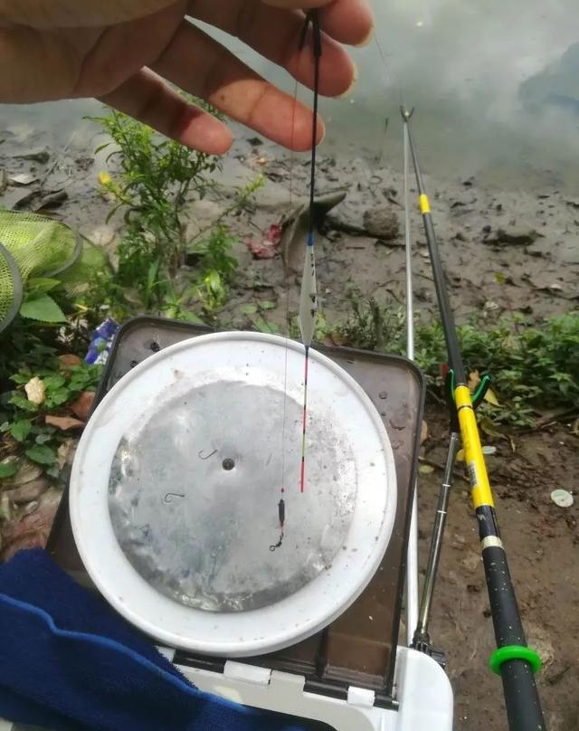 钓鱼:无漂钓特点及钓法要点,教你更快更高效上鱼!