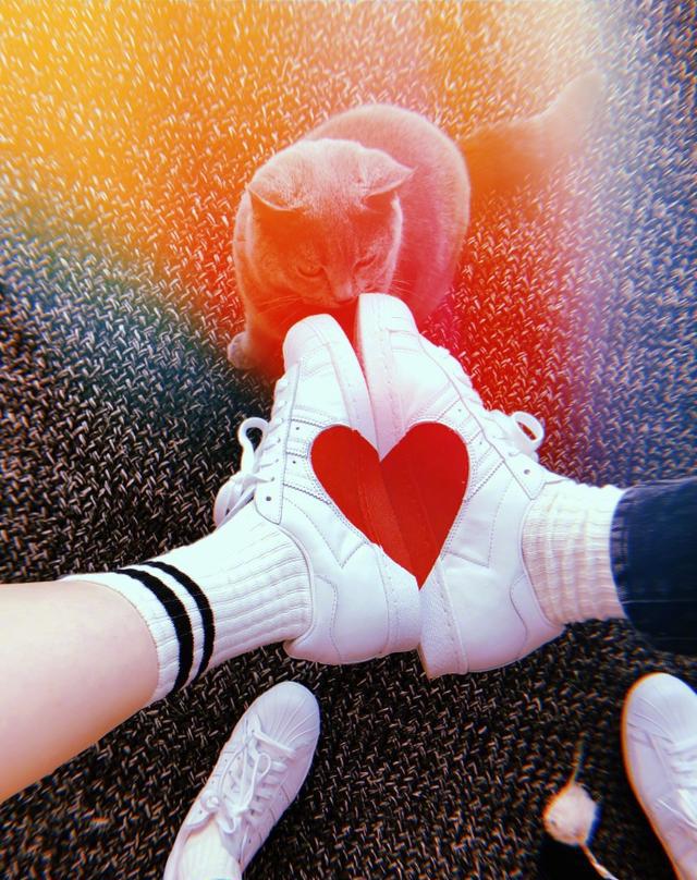 戚薇微博晒与李承铉情侣鞋 网友:单身狗只能自