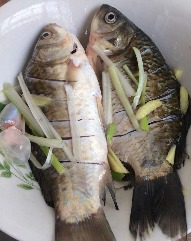 鲫鱼炖豆腐,鱼只要处理好了,汤一点都不腥,特别鲜