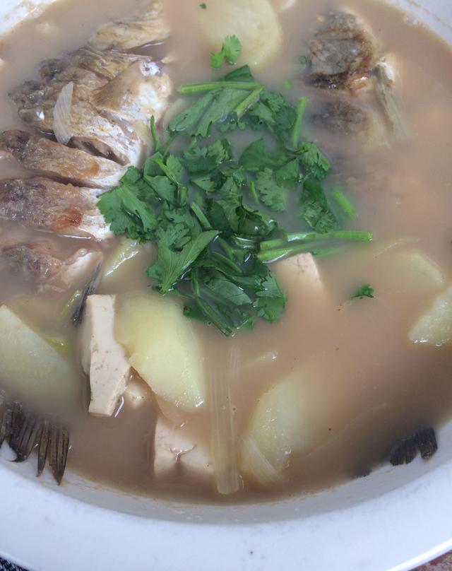 鲫鱼炖豆腐,鱼只要处理好了,汤一点都不腥,特别鲜