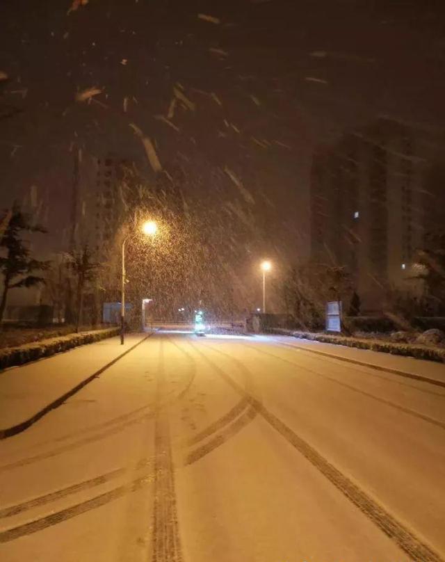 烟台迎来入冬后最大降雪,一觉醒来美成画又被烟台惊艳了