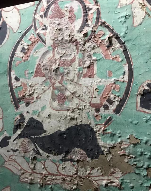 1600年敦煌壁画遭发霉脱落86岁老人壁画打针修复4000平