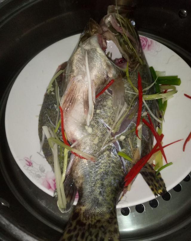6,大火烧开锅里水,放入桂花鱼,盖上锅盖
