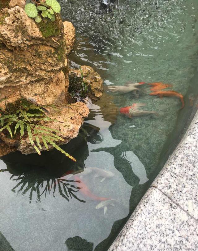 庭院设计中水池问题解读