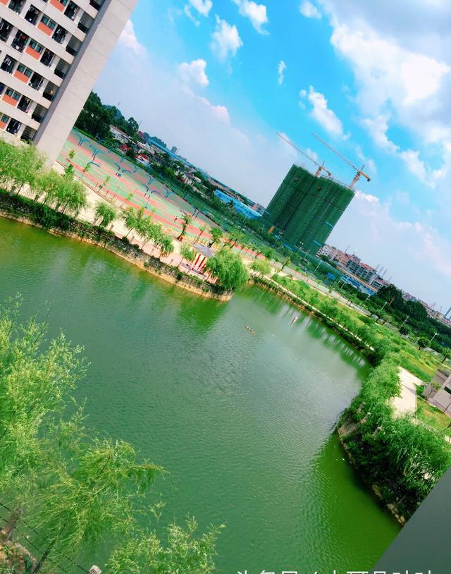 广州航海学院黄埔校区校道沥青道路呈现颜值爆表美哉