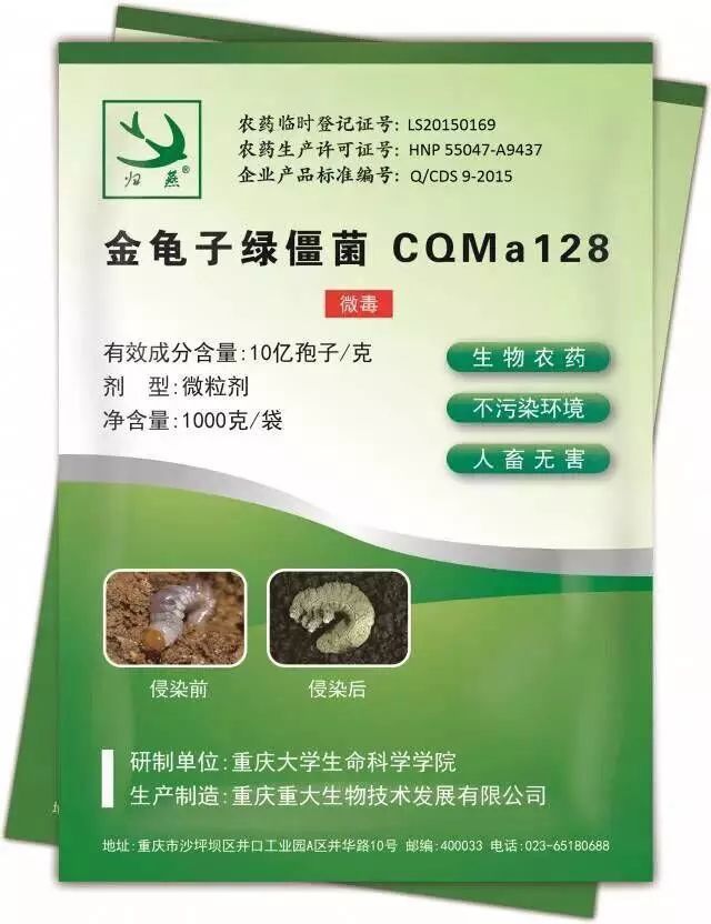 献身植保坚守初心:真菌生物农药专家王中康教授,殷幼平教授专访