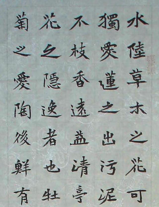 陕西青年书协常务理事董长绪:把书法当敬事的"老实人"!