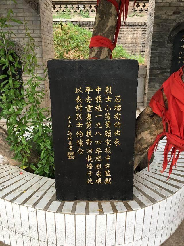 83岁原西安市长安区书协会长马德馥书法欣赏:老而弥坚,书道有成