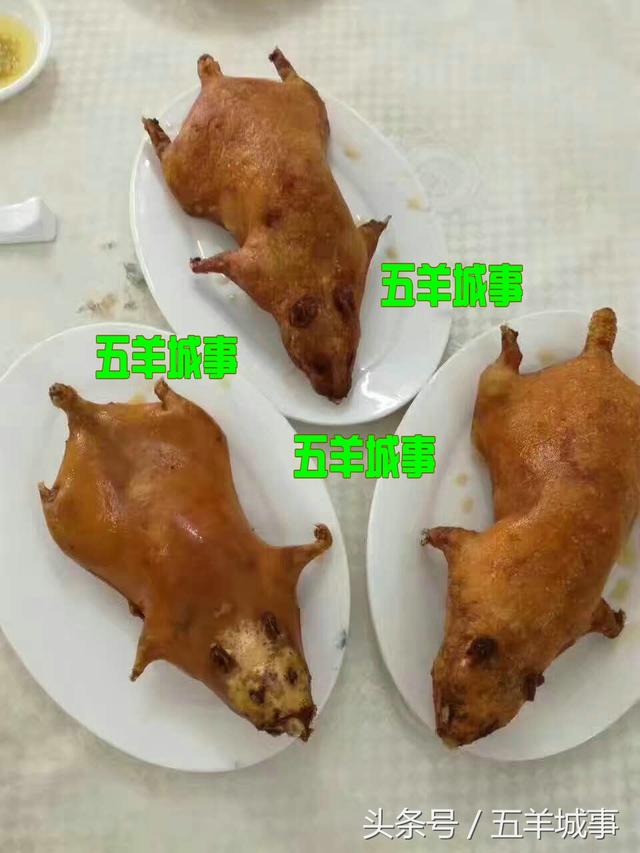 要是你喜欢,请留言,小编可以去拍摄一个烤田鼠制作的视频,发出来以