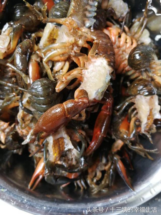 今天用它来做一道美食,舌尖上的中国曾经专门报道过的,蝲蛄豆腐有人说