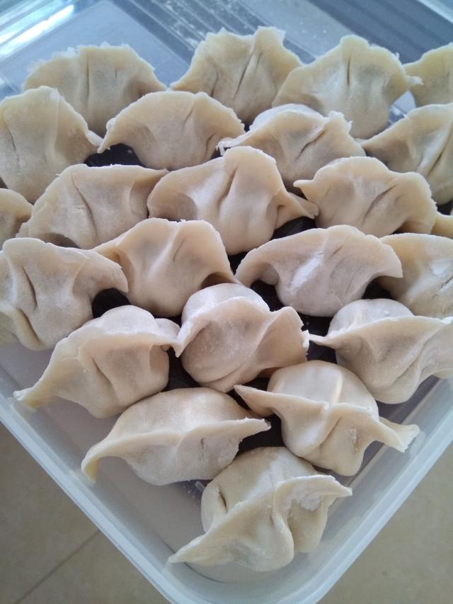 私人订制手工水饺,无任何添加剂!支持来料加工,纯手工制作!