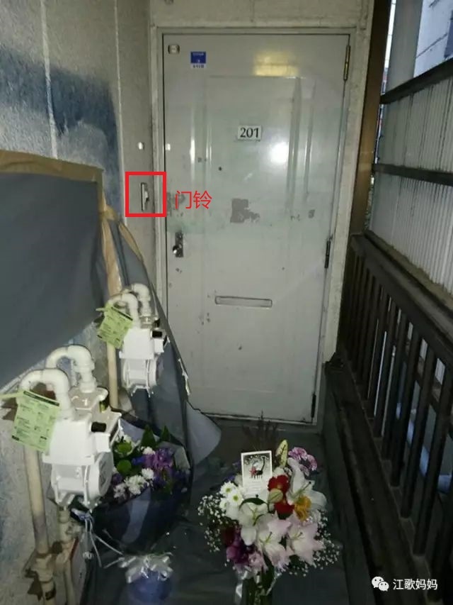 江歌案穿过仇恨的罗生门