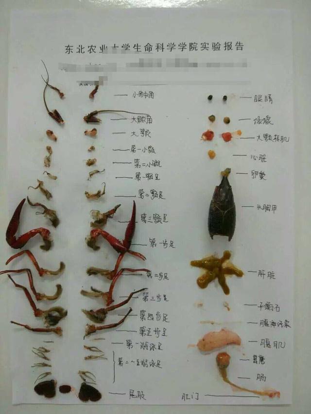 爸你有钱吗爸你妈最近看得严