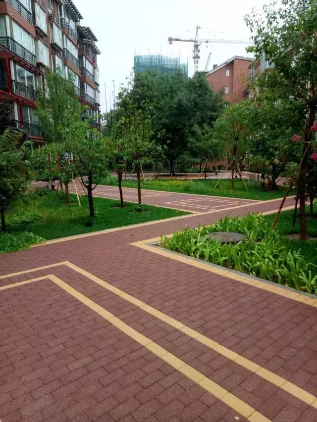 涵养地下水,补充地下水的不足,还能通过土壤净化水质,改善城市微气候