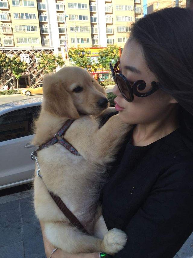 这才是抱狗狗的正确方式,一般人都错了!