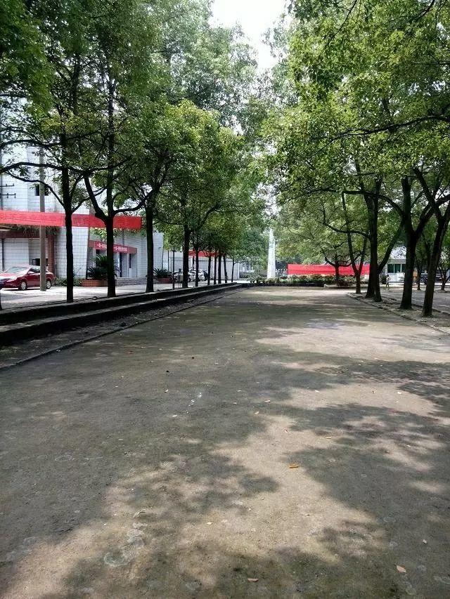 我的中师学校:芷江师范,爱你的心,永不变