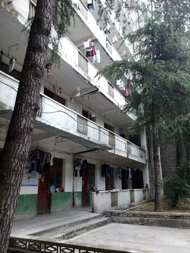 我的中师学校:芷江师范,爱你的心,永不变