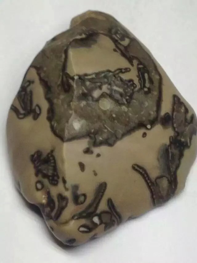 美石遇见就是缘石头的价值在于珍惜它的人