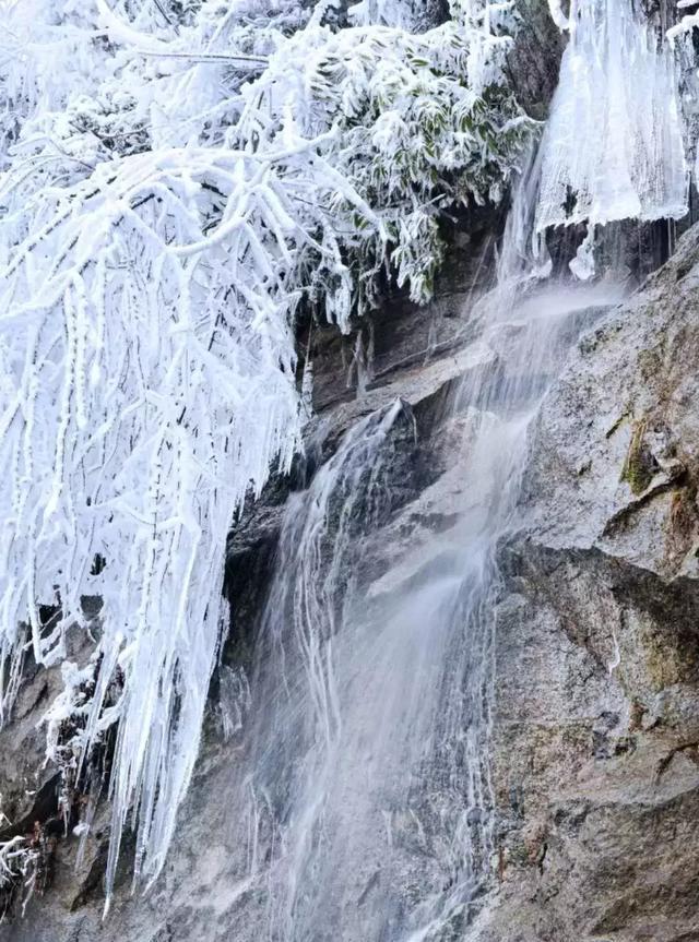 霜凍天氣將持續到21日桂林這個地方下雪了是雪不是霧凇