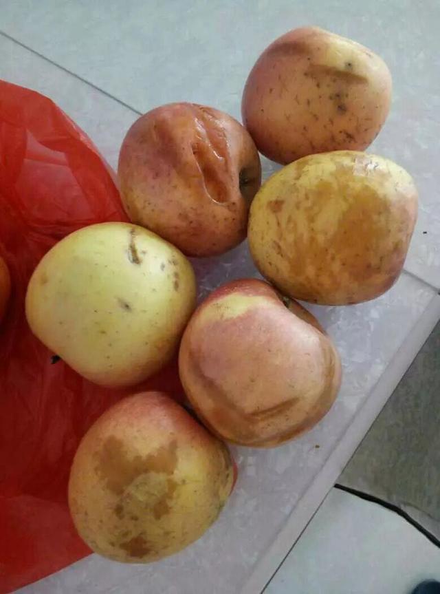 孩子快要出生,我爸妈送了大包小包,婆家则送来一堆烂苹果