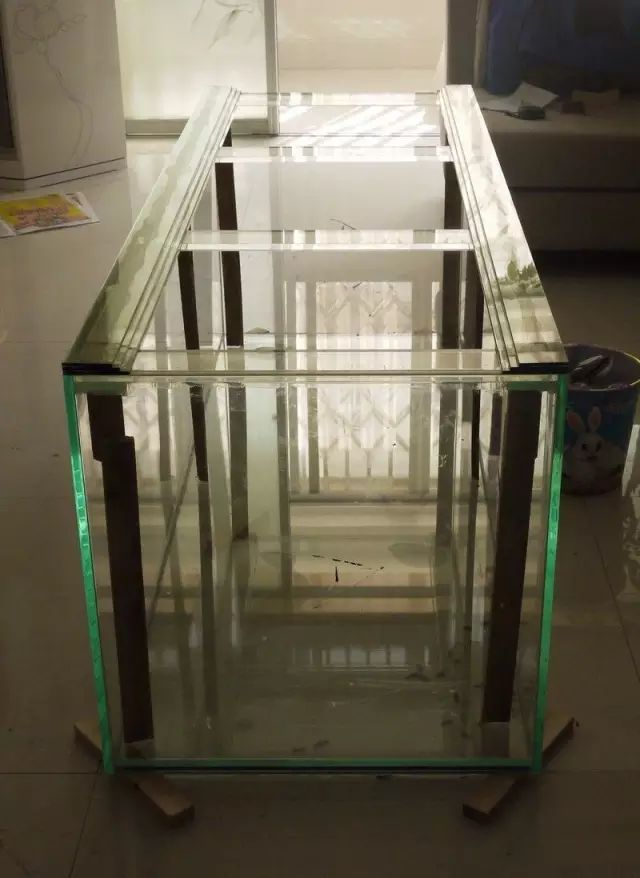 这个只有1.6米的diy鱼缸,看完后不得不直呼过瘾!