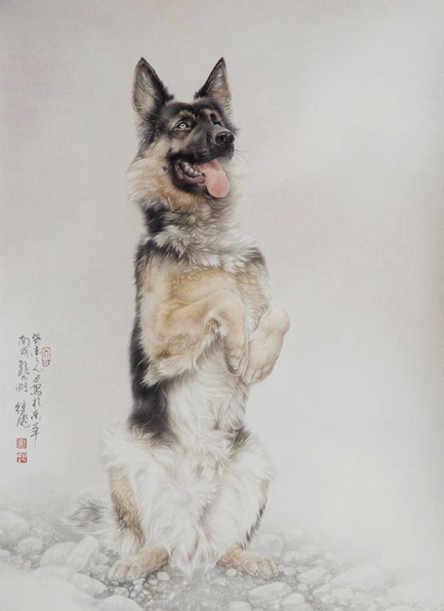 画家联盟 i 狗年画狗,中国工笔画家刘继彪笔下的中华田园犬