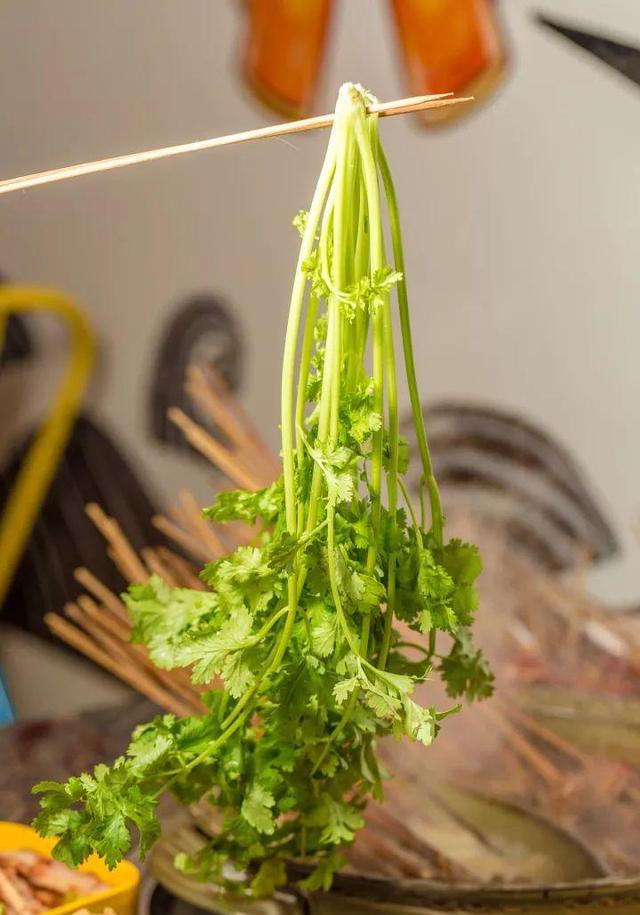 牛肉|牛肉串|香菜_新浪新闻