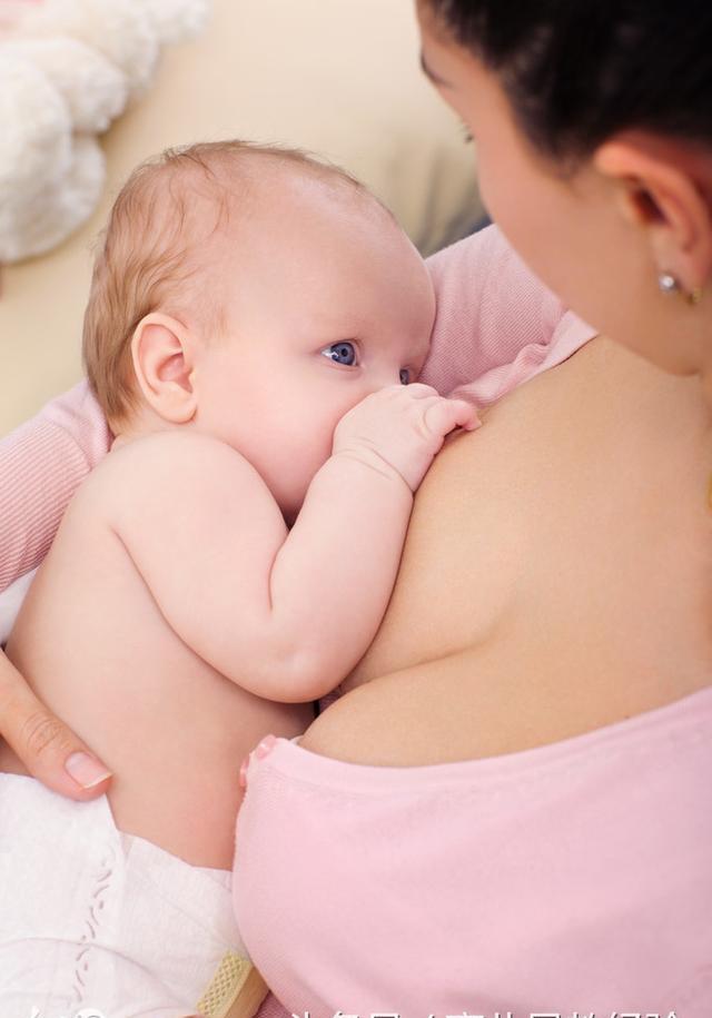 为何现在都提倡宝妈母乳喂养?全因母乳中有这四种物质