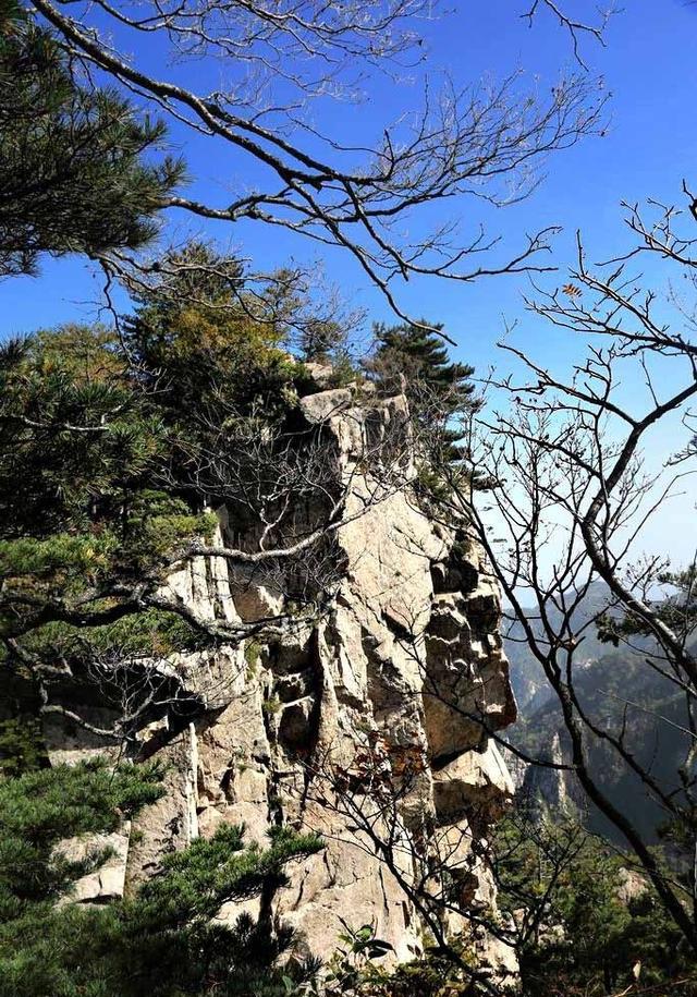 伏牛山腹地中的木札岭|木札岭|原始森林|景区_新浪新闻