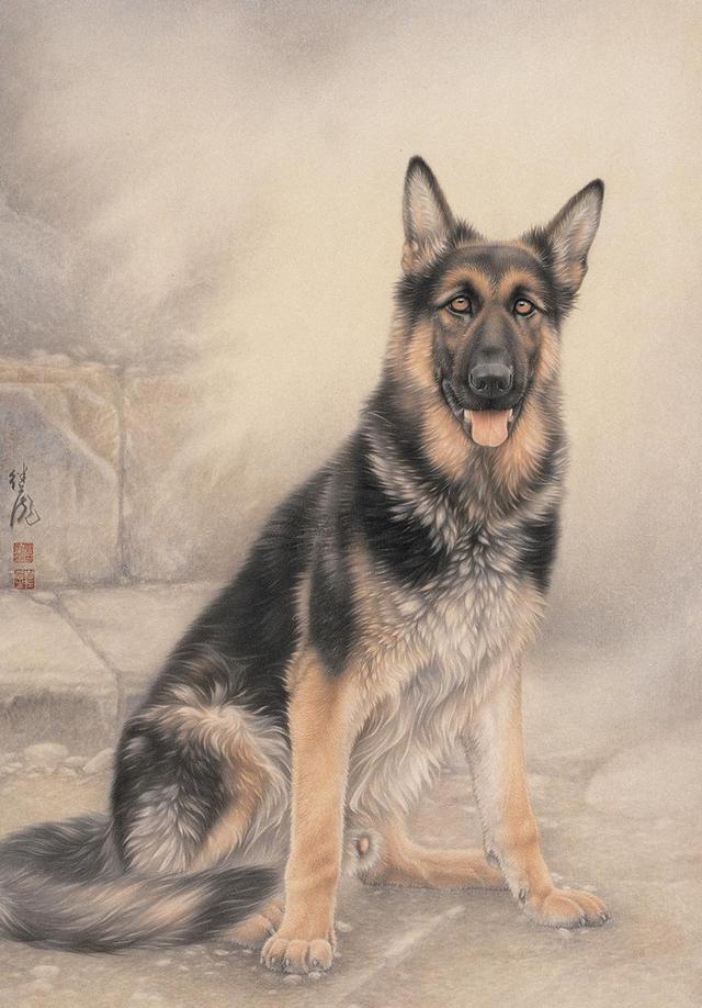 画家联盟 i 狗年画狗,中国工笔画家刘继彪笔下的中华田园犬