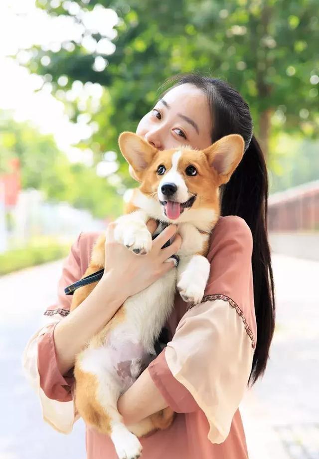 那些与柯基合影的各种画风