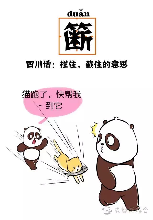 这12个字成都人会说不会写,第一个就打脑壳!