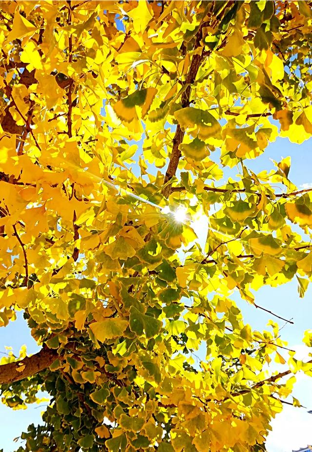 大理洱海什么时候去合适?