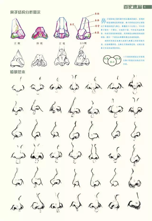 速写五官,头,手,脚.此等绝佳干货哪里找