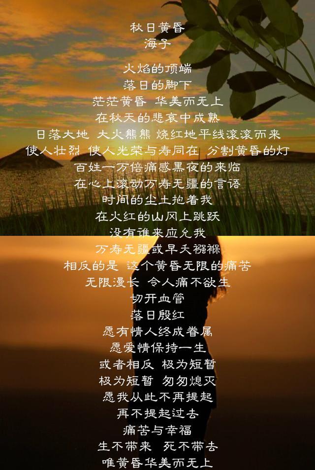 你读到的可能是假诗|诗歌|海子|诗人_新浪新闻